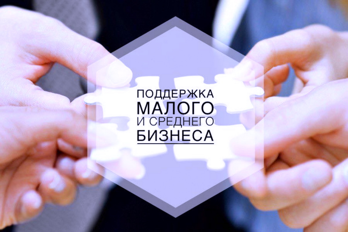 Поддержка субъектов малого и среднего предпринимательства Поддержка субъектов малого и среднего предпринимательства
