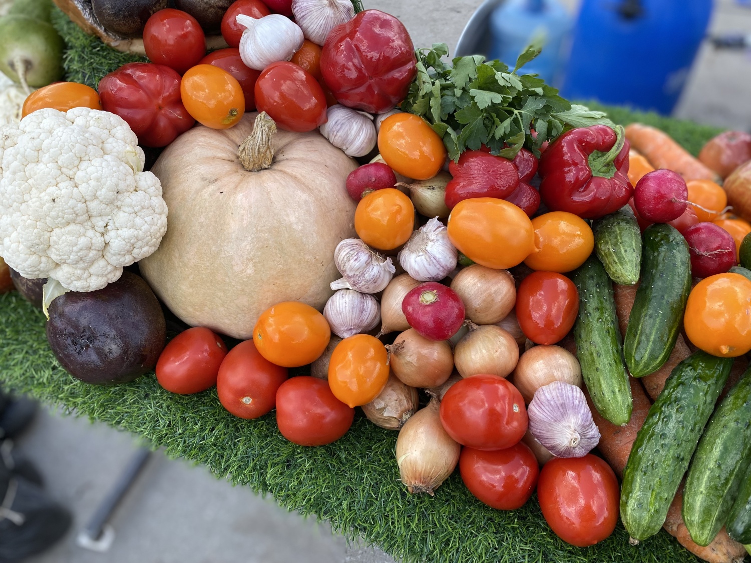 В Пензе пройдет осенняя ярмарка продукции местных товаропроизводителей В Пензе пройдет осенняя ярмарка продукции местных товаропроизводителей