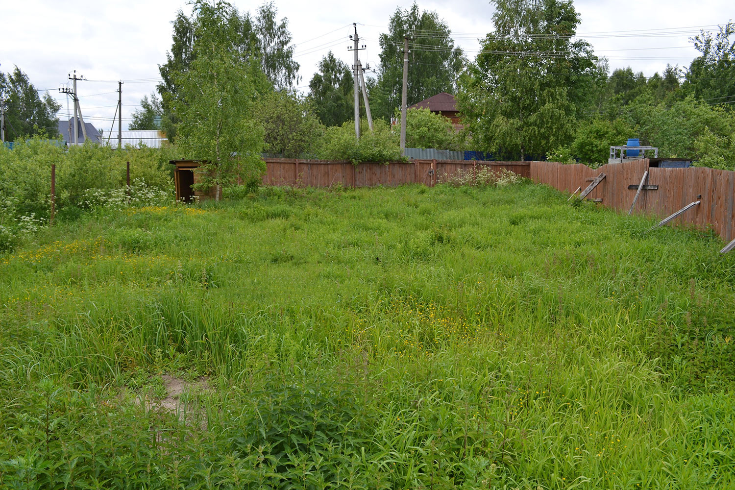 Получить участок для садоводства или строительства дома станет проще Получить участок для садоводства или строительства дома станет проще
