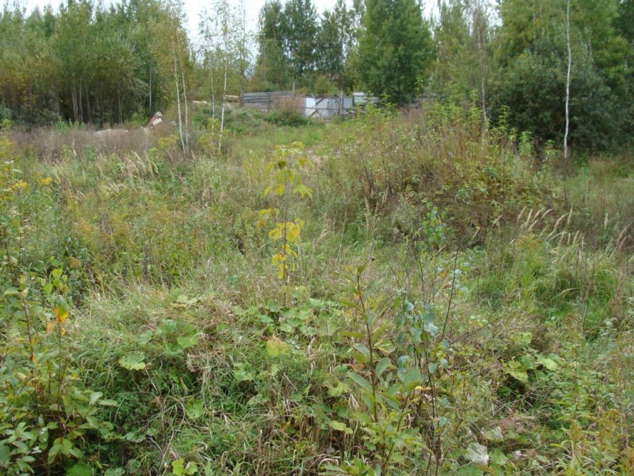 Заброшенных земельных участков должно стать меньше Заброшенных земельных участков должно стать меньше