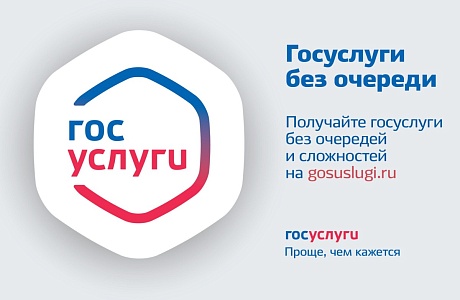 Документы по земельным спорам можно запросить через Единый портал госуслуг
