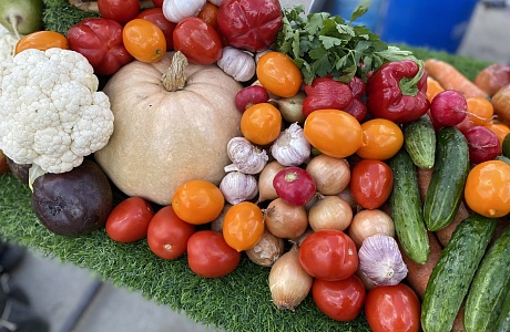 В Пензе пройдет осенняя ярмарка продукции местных товаропроизводителей В Пензе пройдет осенняя ярмарка продукции местных товаропроизводителей